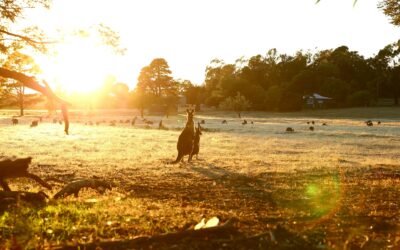 Comment bien préparer son départ pour l’Australie ?