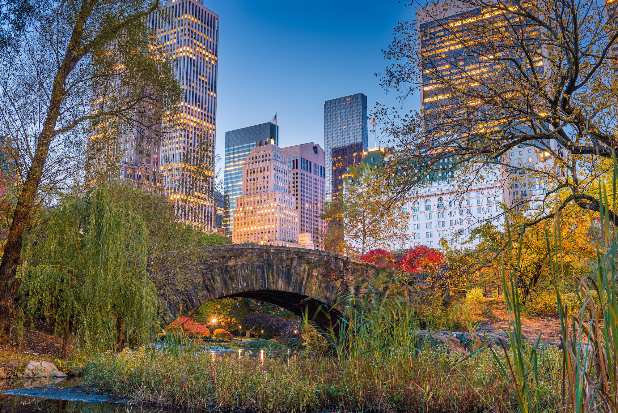 New York Central Park en automne