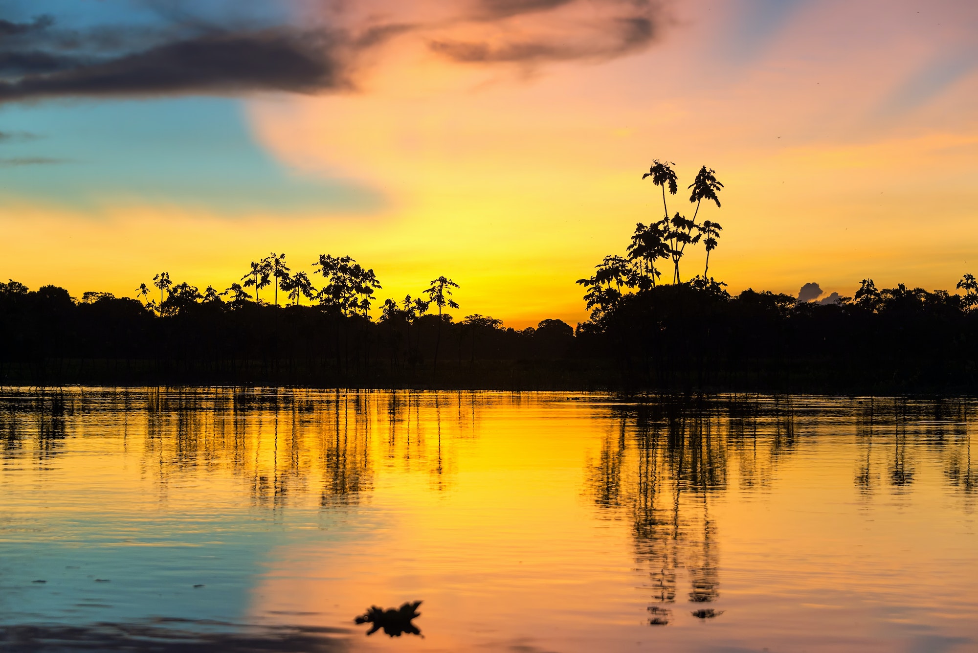 Coucher de soleil Amazone