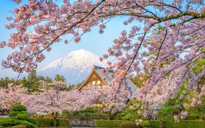 Que faut-il prévoir avant d’aller au Japon ?