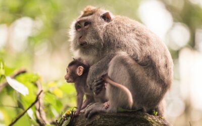 Quelles affaires prendre quand on part à Bali ?