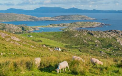 Itinéraire de voyage en Irlande pour les aventuriers