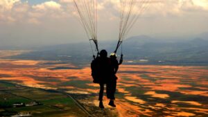 Parente dans le ciel