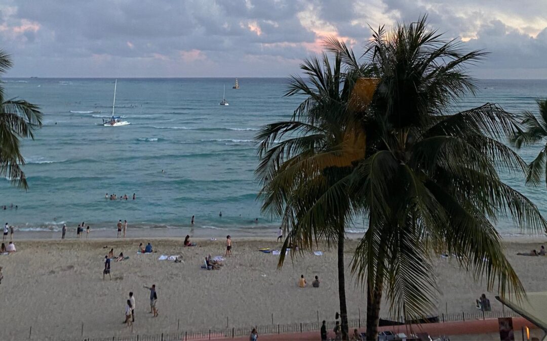 Miami au-delà des plages : culture, gastronomie et aventure