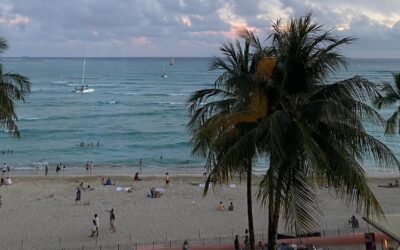 Miami au-delà des plages : culture, gastronomie et aventure