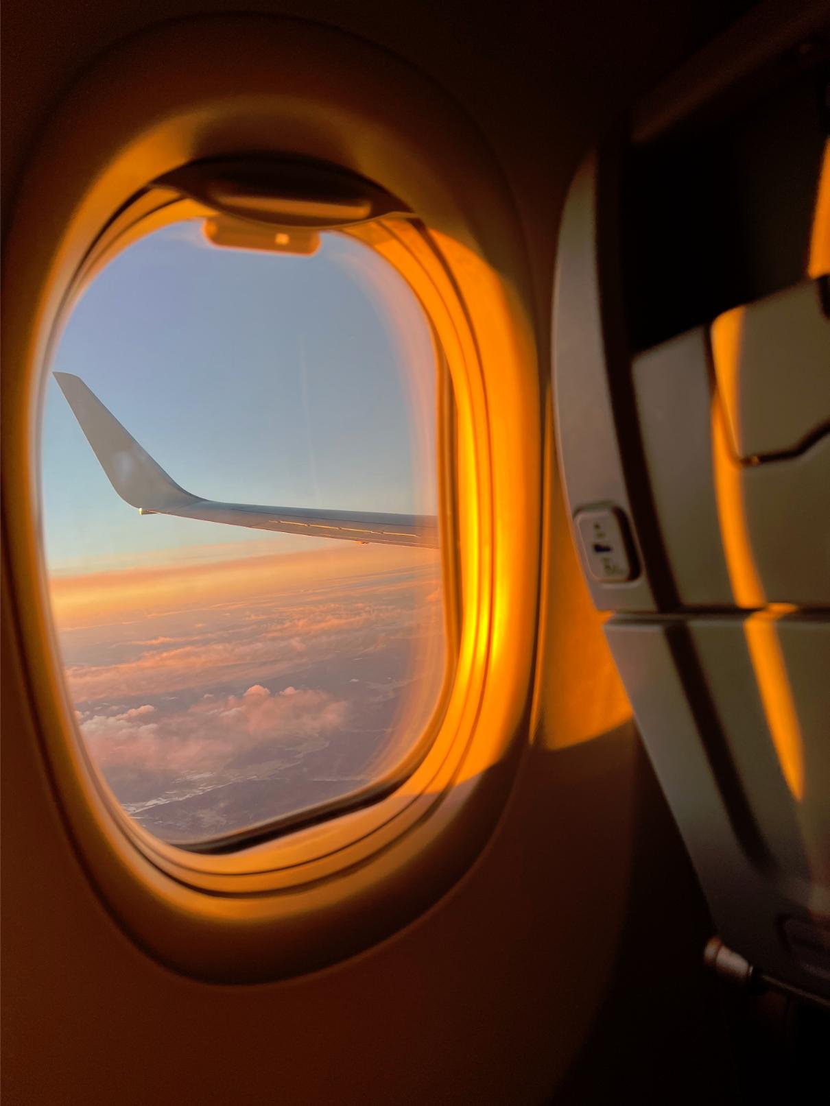 demenager international